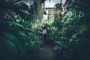 Bucket List: London’s Lush Greenhouses