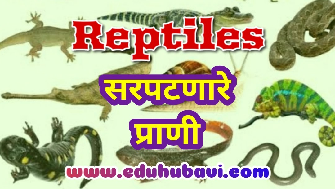 Reptiles for kids | सरपटणारे प्राणी - Educational Hub Avi