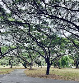 Pasir Ris Park