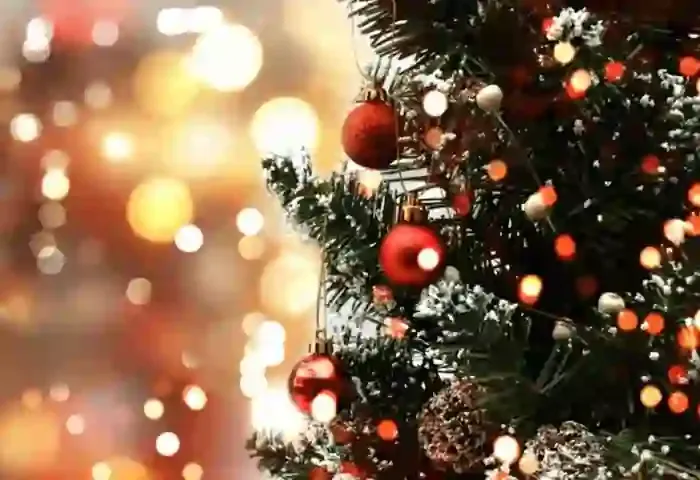 News, Malayalam, Health, Christmas tree, Star, Fever, Tree, Leaf,