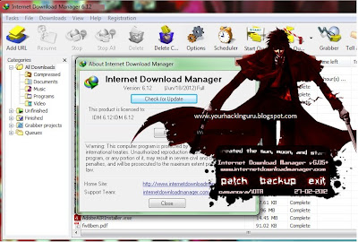 Internet download manager