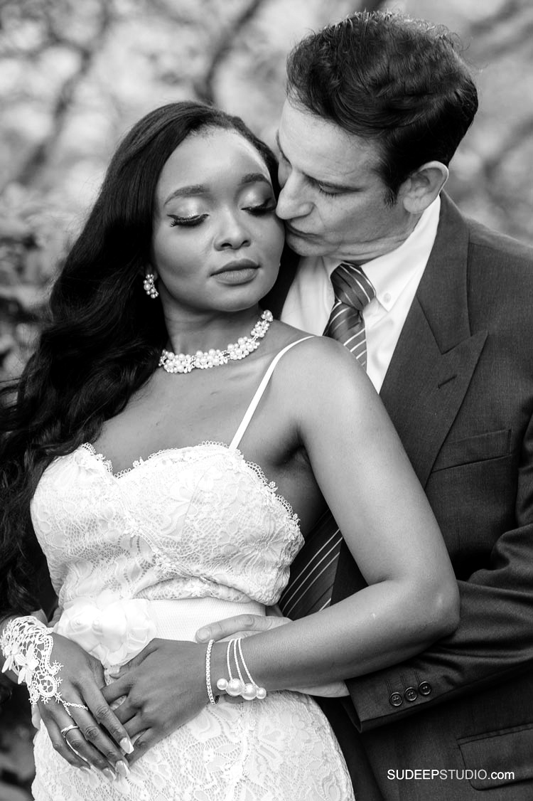 Gorgeous Ypsilanti Wedding Photography Interracial weddings by SudeepStudio.com Ypsilanti Wedding Photographer