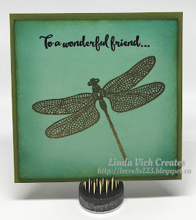 Linda Vich Creates: So Succulent Gift Set With Video Tutorial. Gift card that uses Dragonfly Dreams and coordinates with a pot of the trendy succulents.