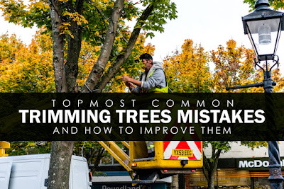 Topmost Common Trimming Trees Mistake and How to Improve Them