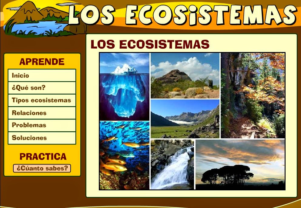  Los ecosistemas