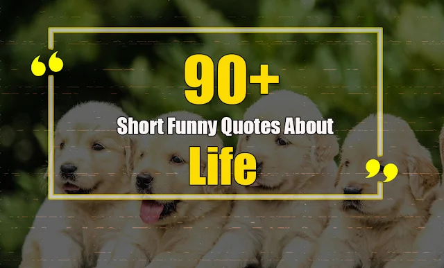 Short Funny quotes about life