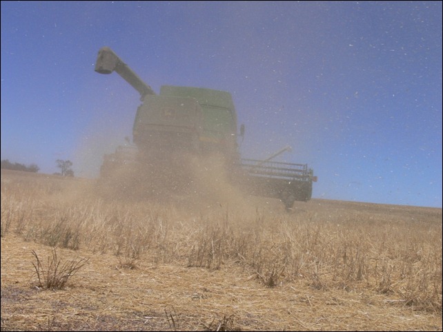 header turns