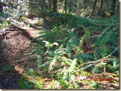 P3230274