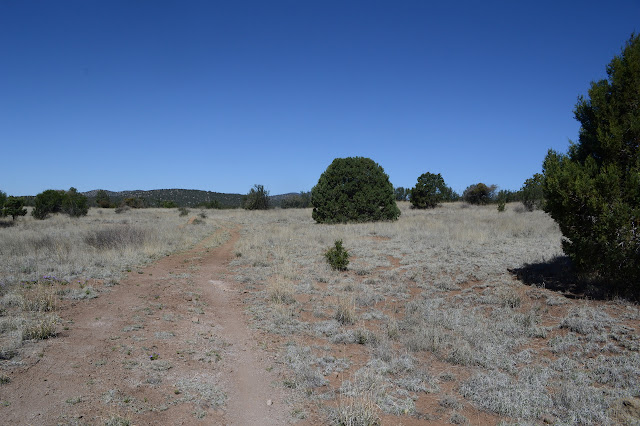 old road as trail