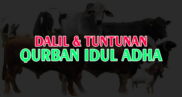 Dalil dan Tuntunan Qurban Idul Adha  Arrahmah