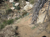 Restored section of trail