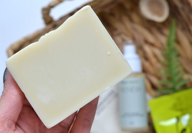 Birch + Beauty Renew Daily Anti-Aging CBD Moisturizer and Lavender CBD Soap Bar