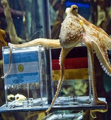 Pulpo Paul