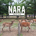 Nara Ikaruga 1 Day Ticket: Itinerary & Tips