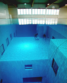 The largest swimming pool in the house