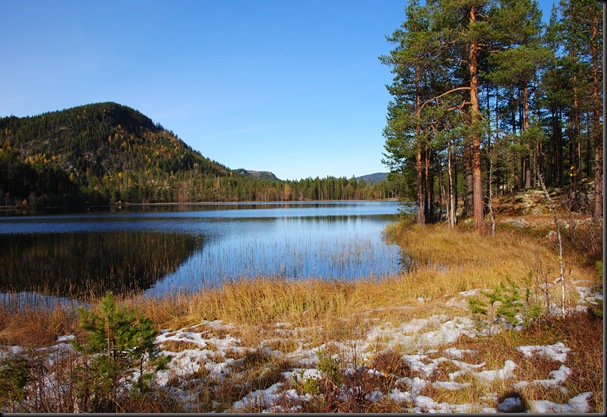 Trytetjern 015