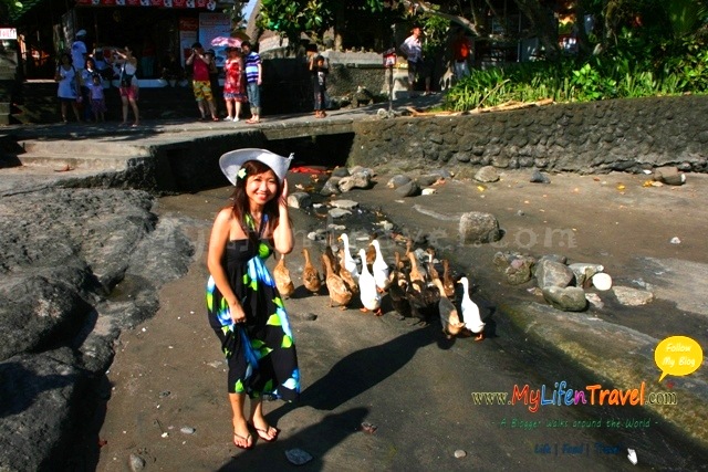 Pura Tanah Lot temple 084