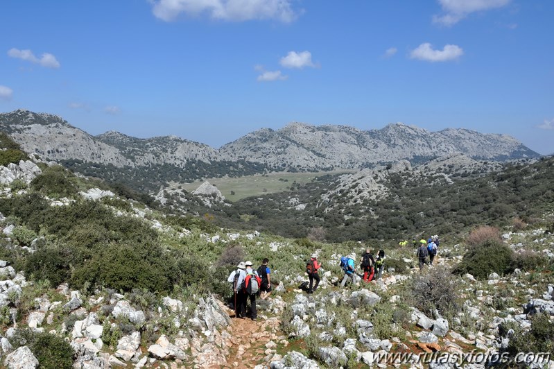 Cortes de la Frontera - Llanos de Libar - Benaojan