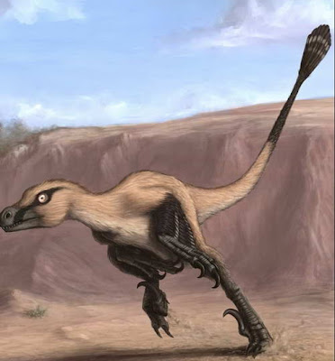 dinosaurus baru Linheraptor Exquistius