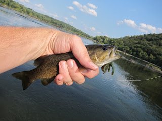 potomac river smallmouth