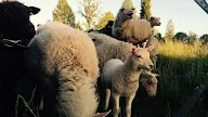 Boka Vaccination Västra Götaland : Golfpaket | Golfbanor Västra Götaland | Bjertorp Slott / Göteborg, borås, dalsland, lysekil och strömstad.