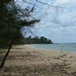 View album