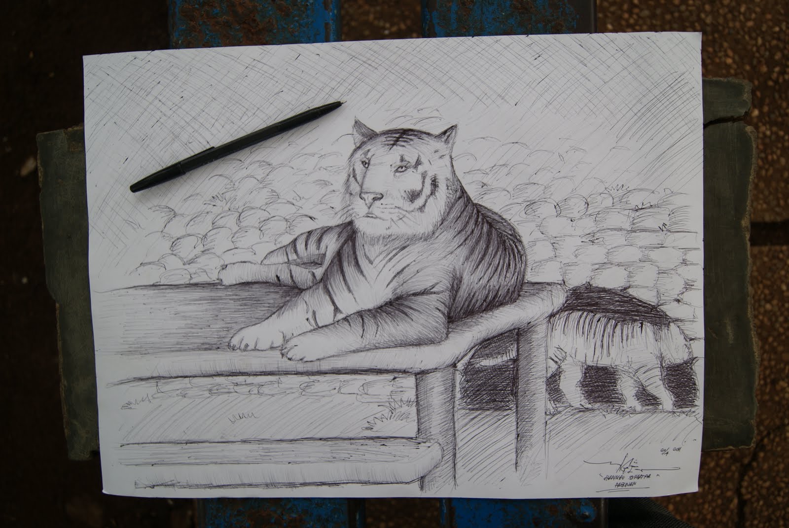Sketsa Achmad Gozali Menggambar Hewan Di Kebun Binatang Ragunan Haha