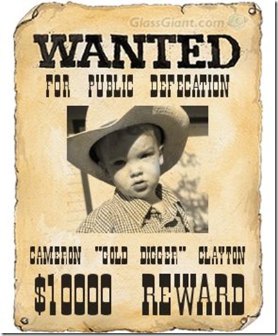 Cameron wanted