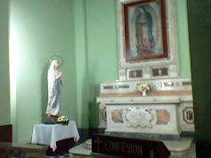 La Virgen de Lourdes y la de Guadalupe, en la catedral de la Virgen del Valle de Catamarca.