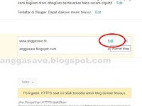 Cara Agar Blog Domain TLD Bisa Dibuka Tanpa www.