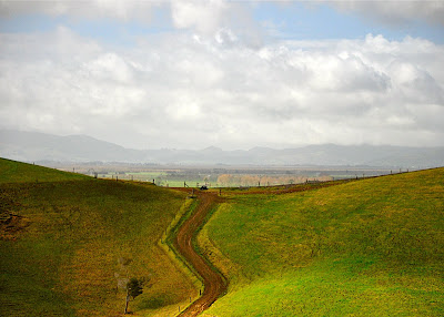 New Zealand countryside, farmland with country lane