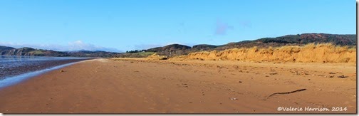 22-damaged-dunes