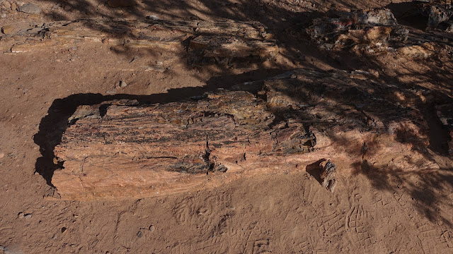 Escalante petrified forest