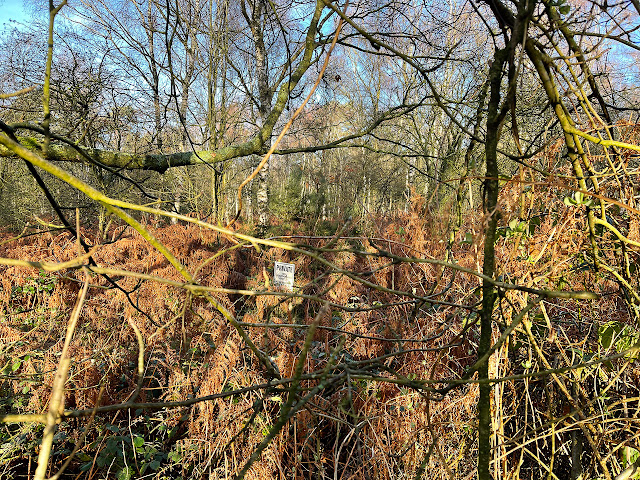 Private keep out sign in woods