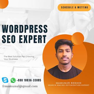 Wordpress SEO Expert