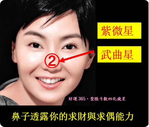鼻子