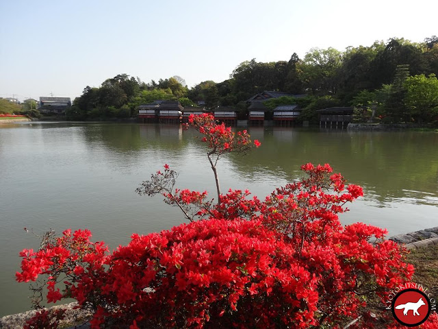 Lac de Nagaoka