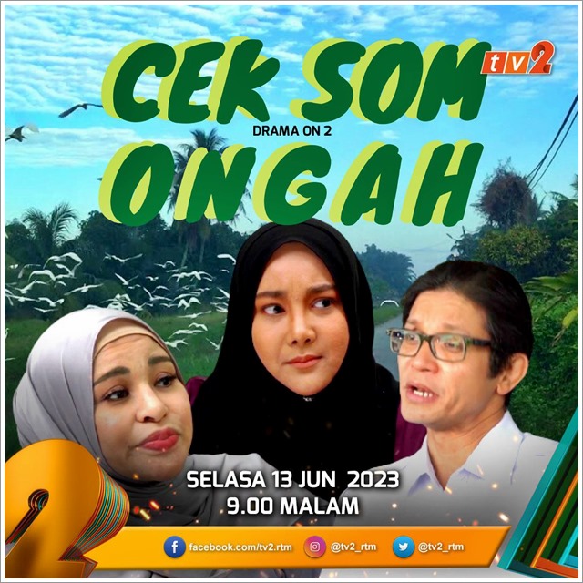 Cik Som Ongah (TV2) | Sinopsis Telefilem