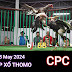 Xem Đá Gà Thomo CPC4 - 28/05/2024 – Trực Tiếp và Tổng Hợp