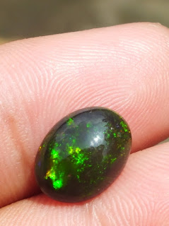 Black Opal