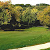 Benson Park - Benson Park Golf Course