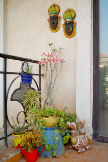 Balcony Garden Makeover