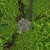 Meu primeiro dia na Floresta Tropical + seed usada - Mini World 0.51.0