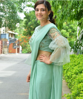 Mehreen Pirzada in Saree With Cute Smile for Pantham Trailer Launch