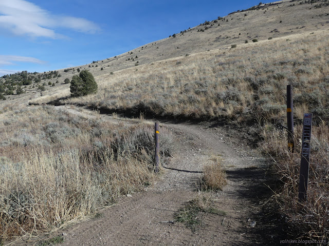 21: posts on an ATV trail