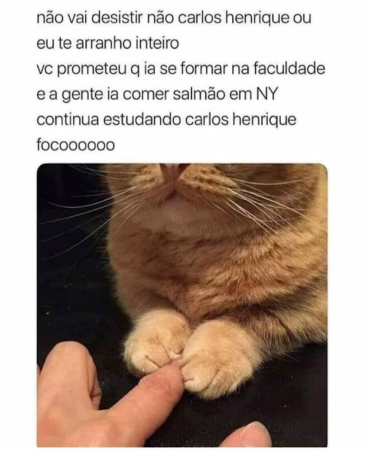 Memes engraçados