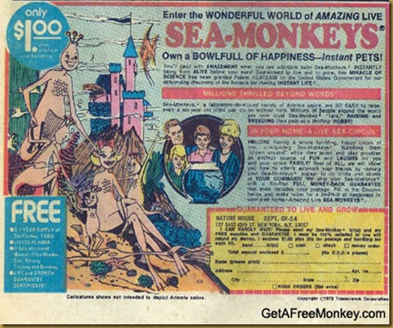 sea_monkeys1 - Copy