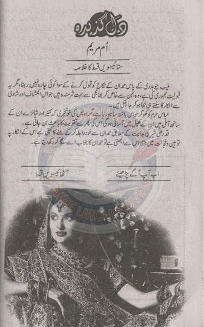 Dil gazeeda novel by Umme Maryam Episode 27