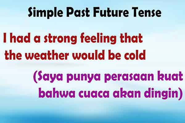 Contoh Kalimat Simple Past Future Tense