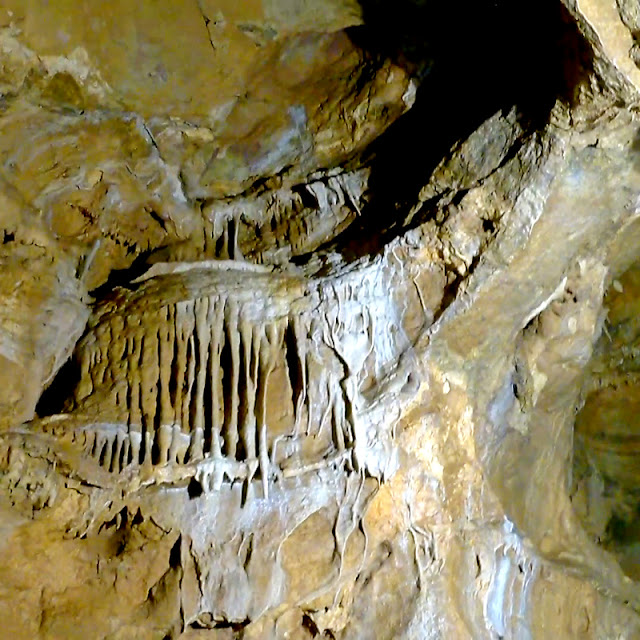 Конепрусские пещеры Чехия Koneprus caves Czech Republic